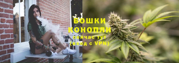 Альфа ПВП Семёнов