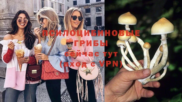 дживик Семикаракорск