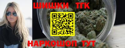 индика Боровичи