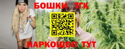 индика Боровичи