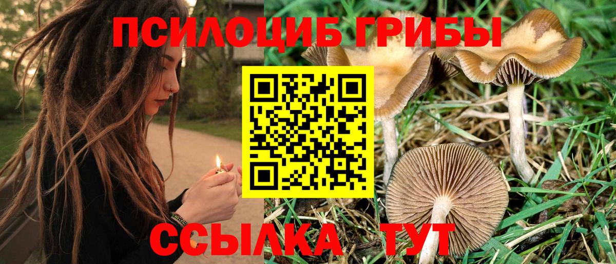Псилоцибиновые грибы мухоморы  Вход с VPN  Азов 